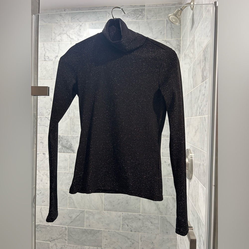 Shimmer Form Fitting Turtleneck Long sleeve